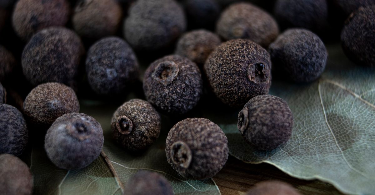 Allspice farming