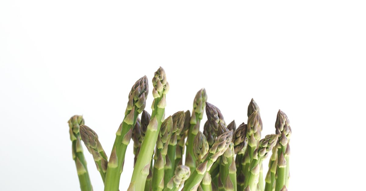 Asparagus farming
