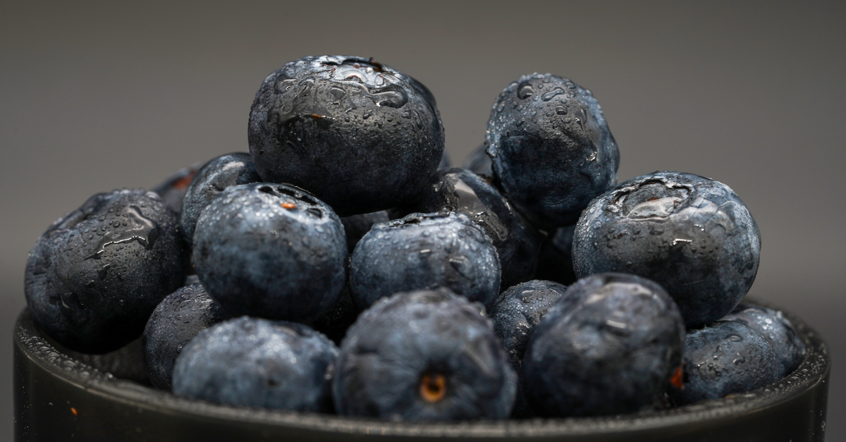 Blueberry farming