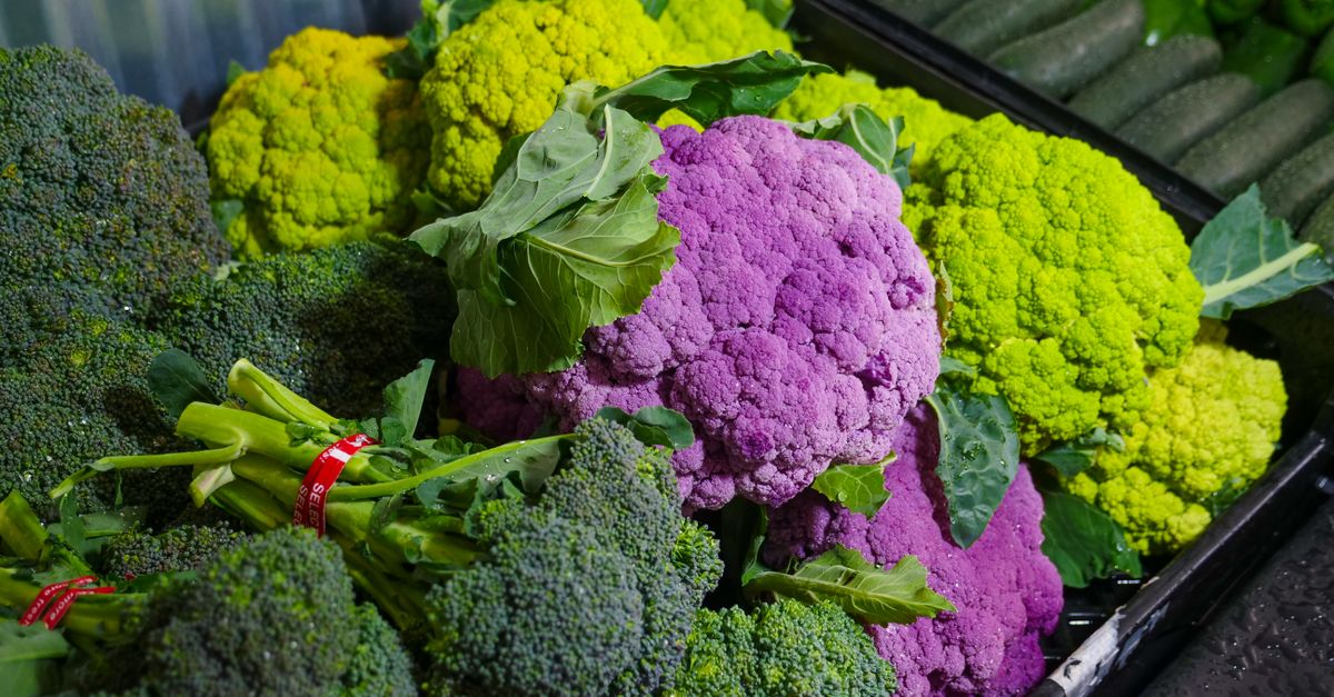 Broccoli farming