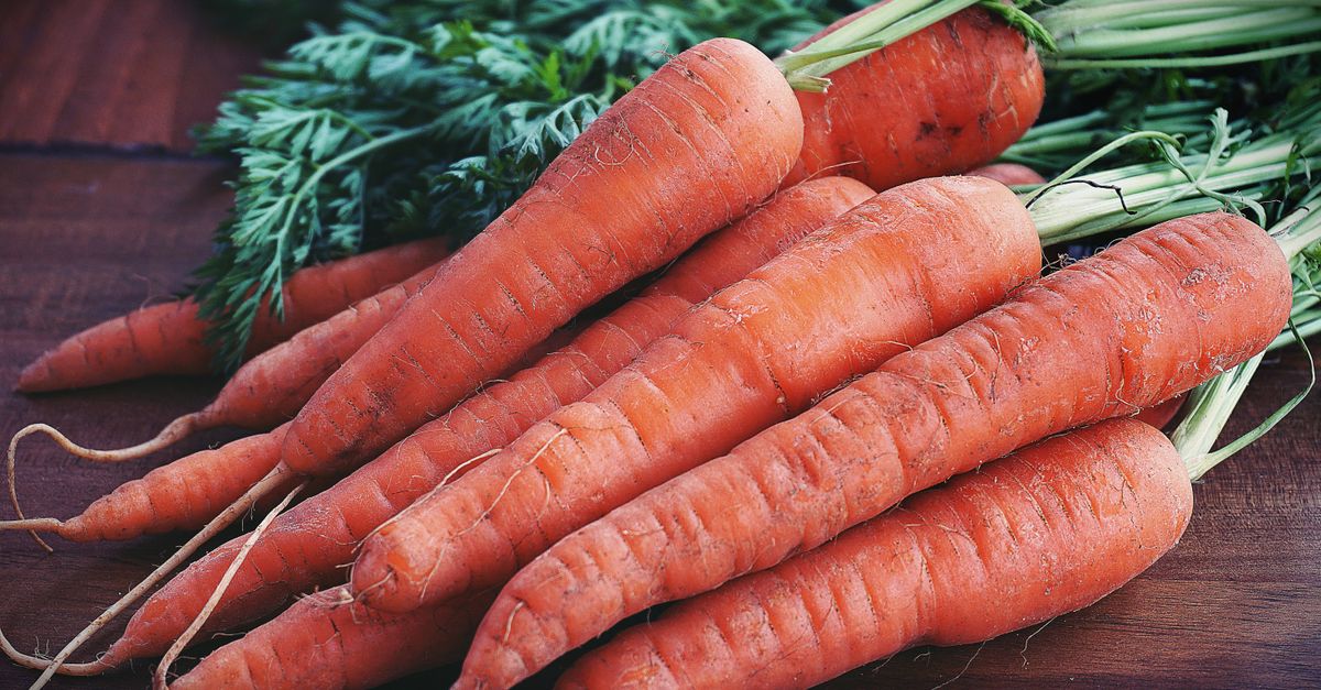 Carrot