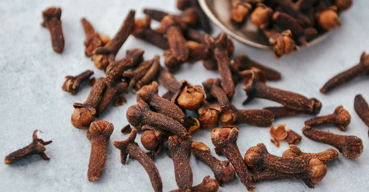 Clove