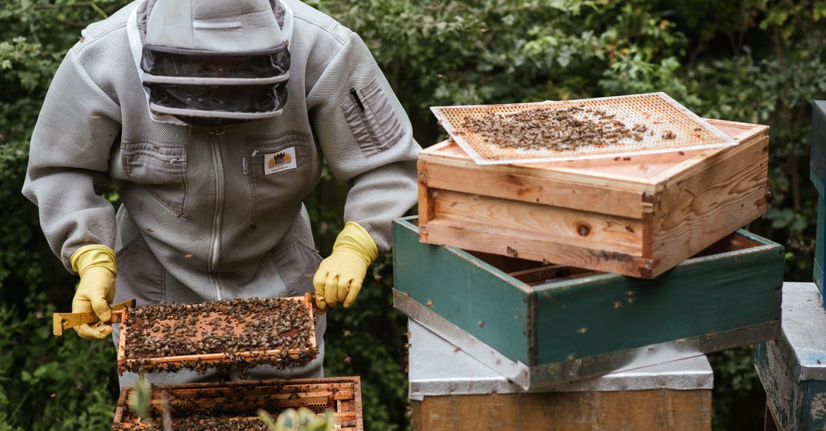 Honey (natural)