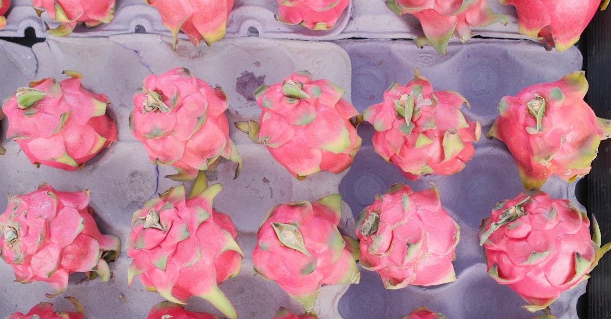 Dragon Fruit (Kamalam)