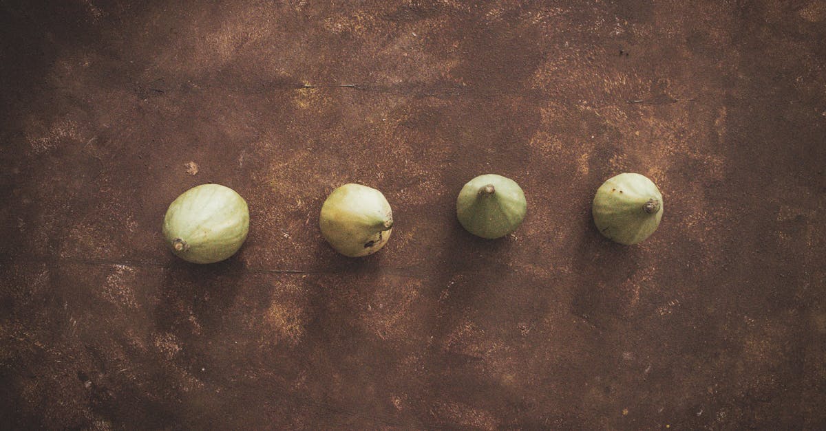 Fig (Anjeer) farming