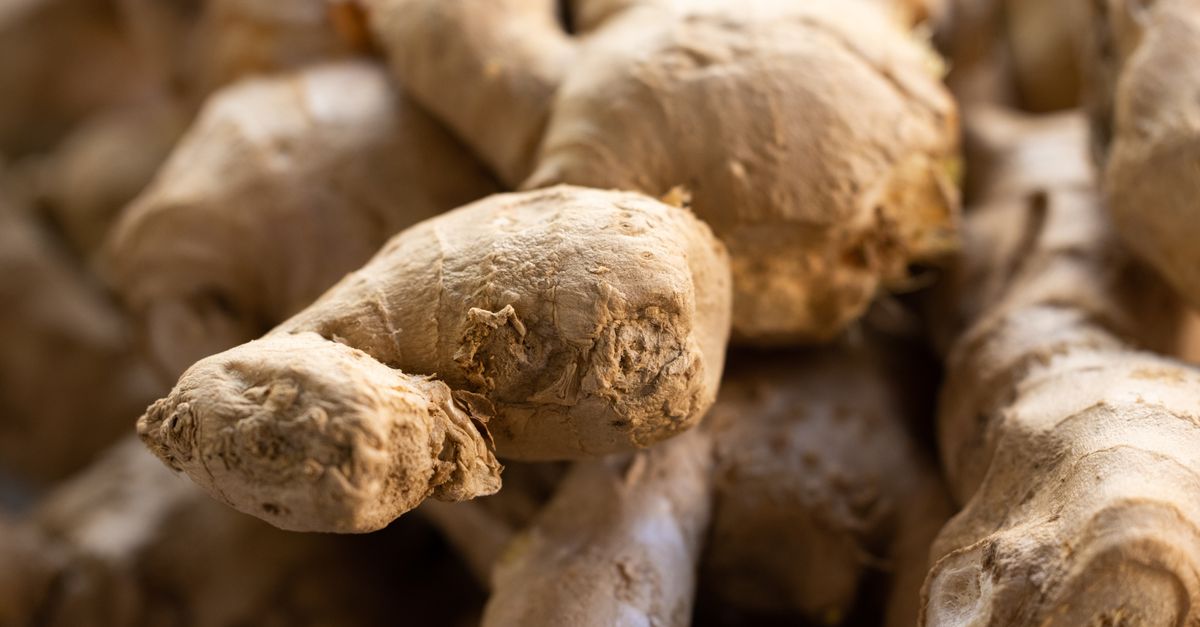 Ginger (Dry and Fresh)