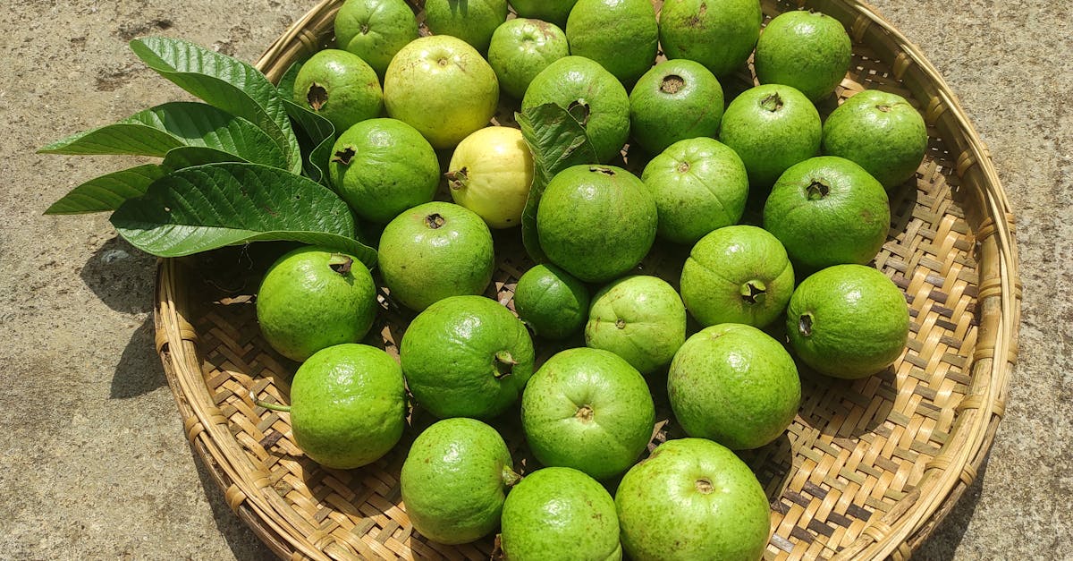 Guava