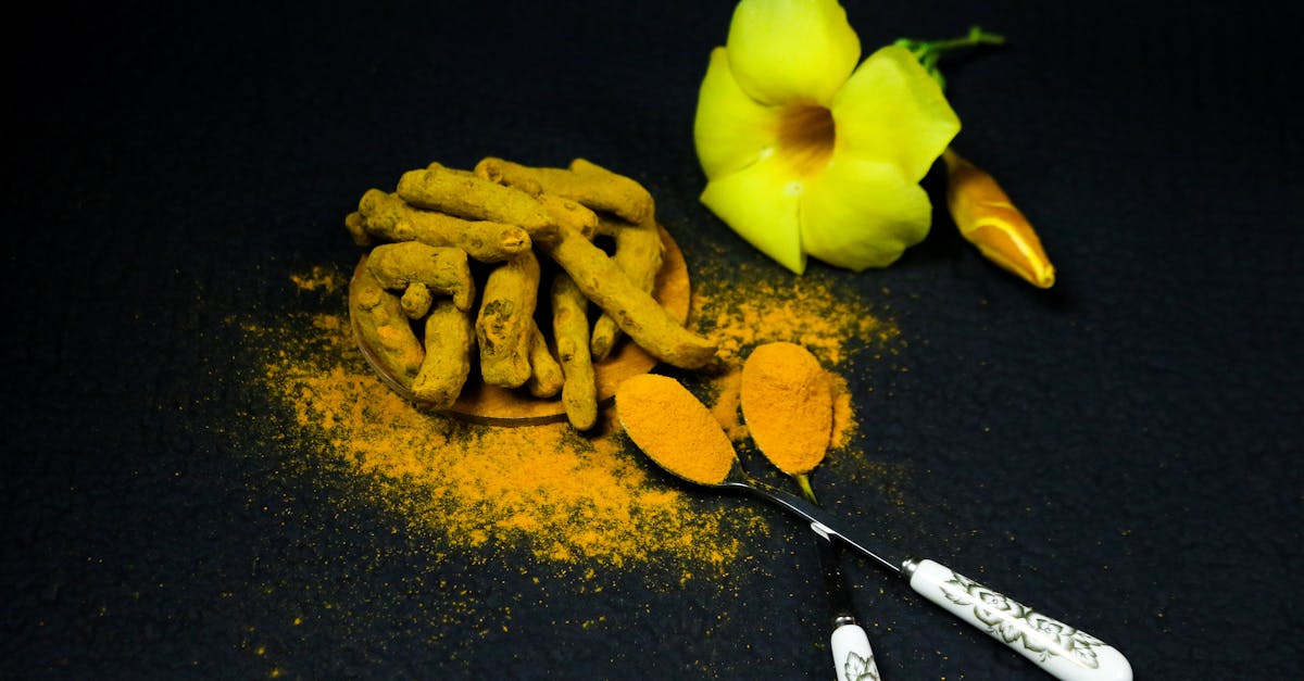 High-Curcumin Turmeric (Lakadong & Salem) farming