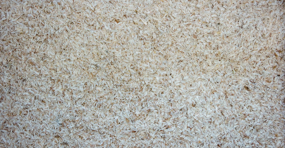 Isabgol (Psyllium Husk)