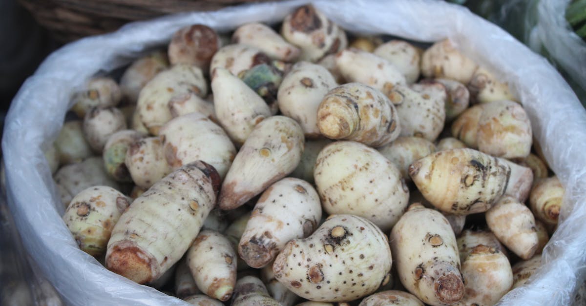Konjac (Glucomannan Tuber) farming