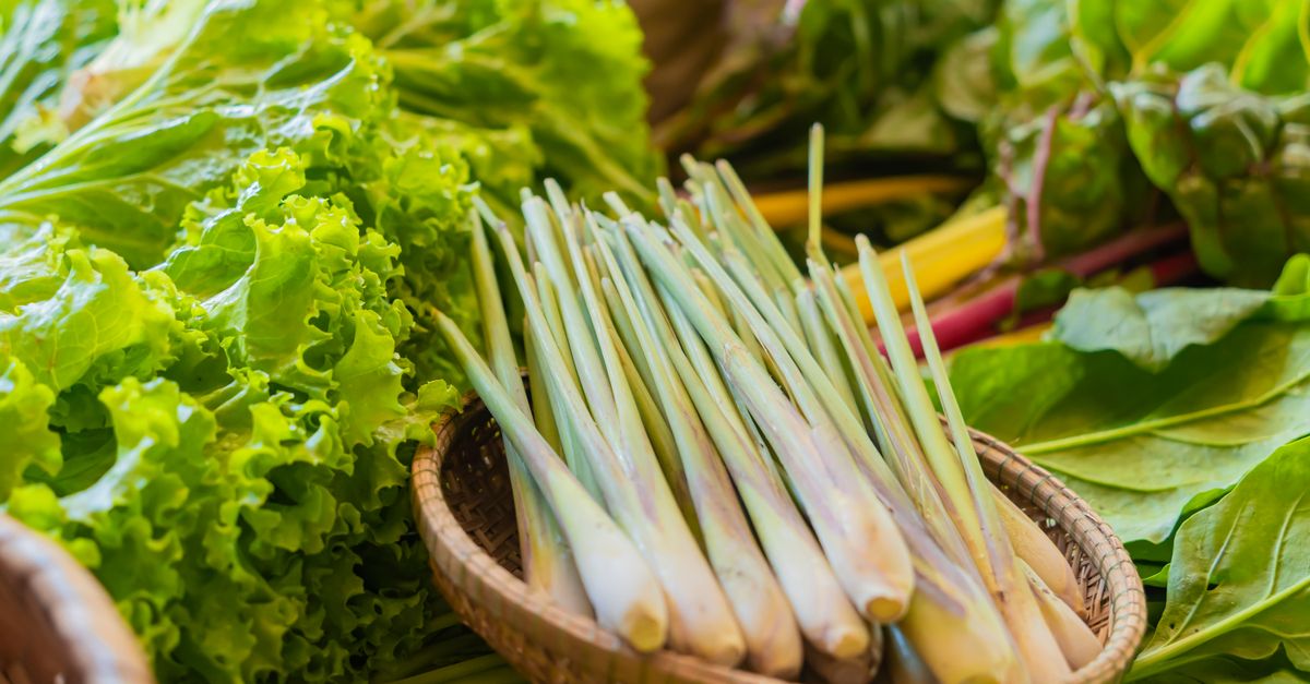 Lemongrass farming
