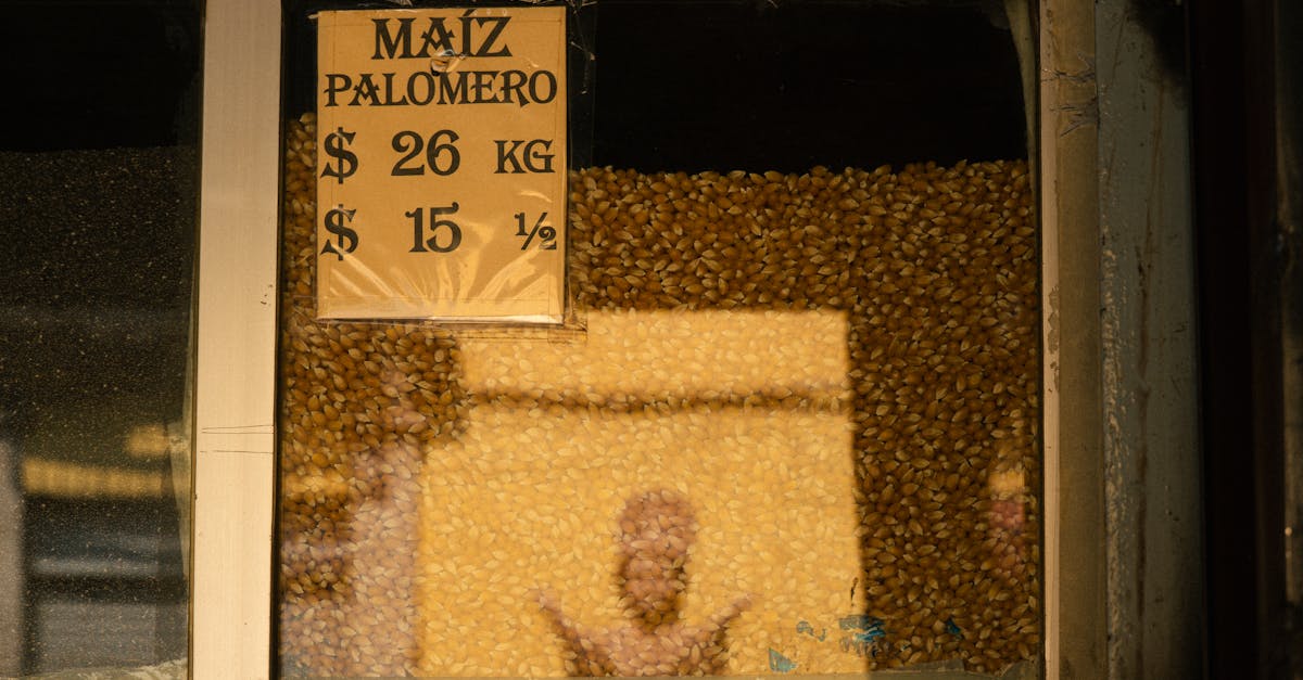 Maize (Corn)
