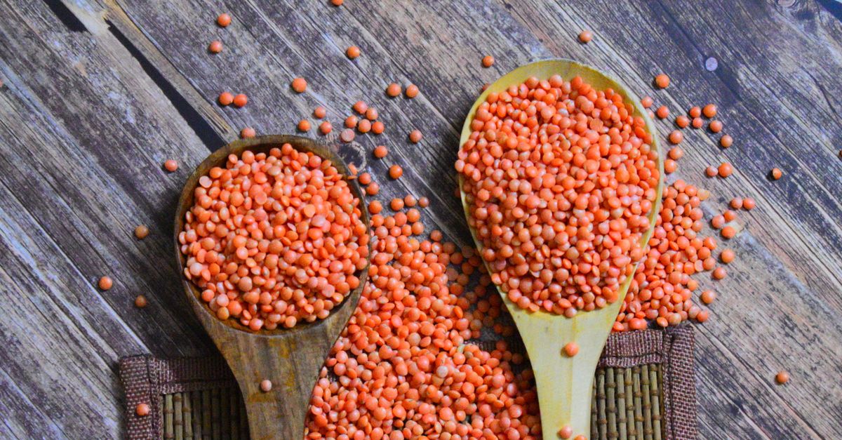 Lentil (Masur)