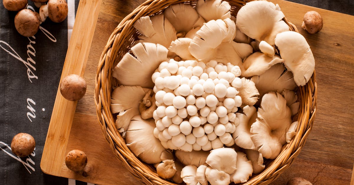 Milky Mushroom farming