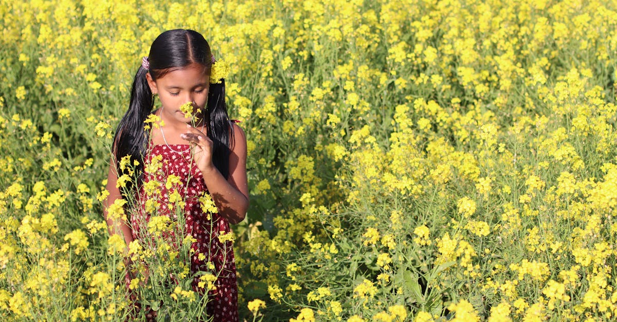 Mustard and Rapeseed Meal
