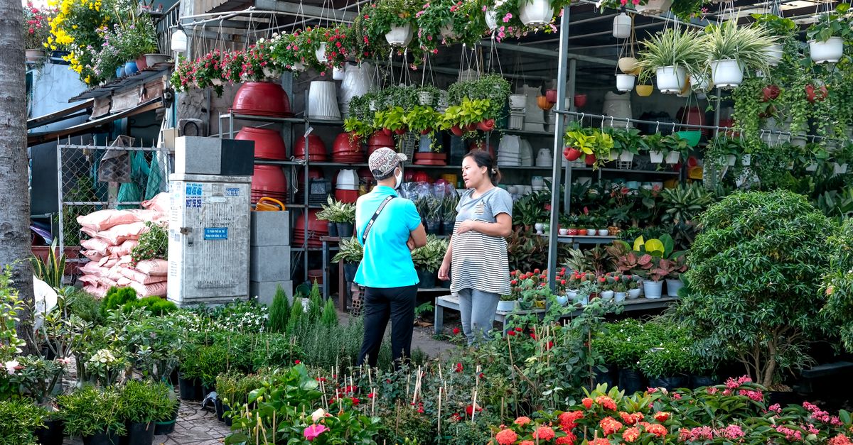 Plant Nursery Business farming