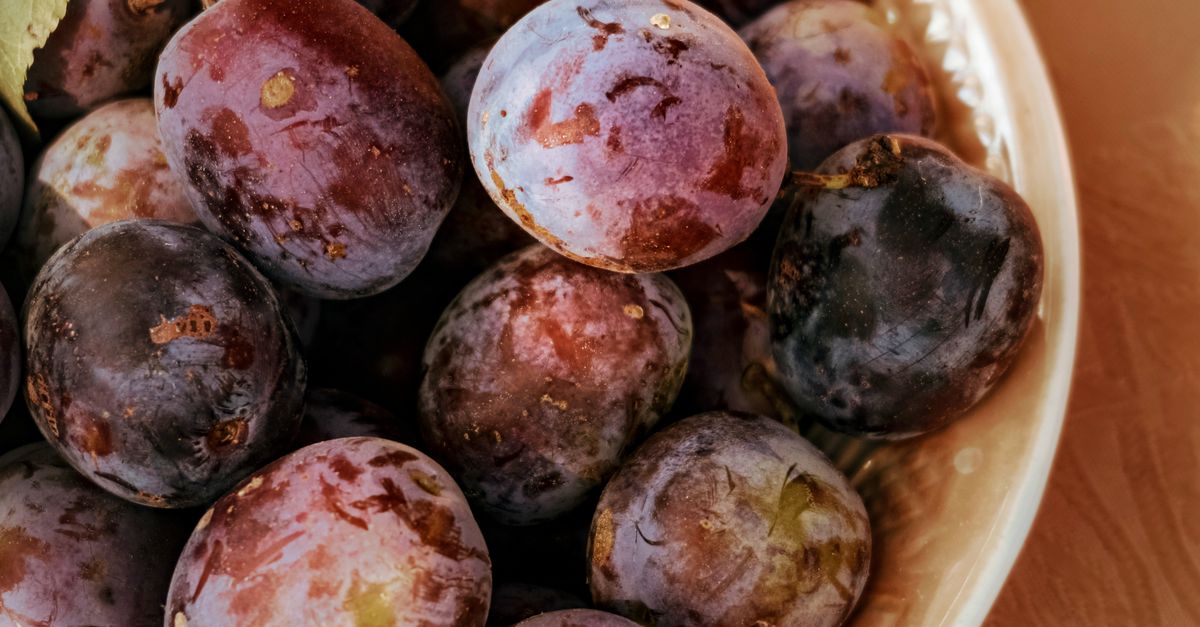 Plum farming