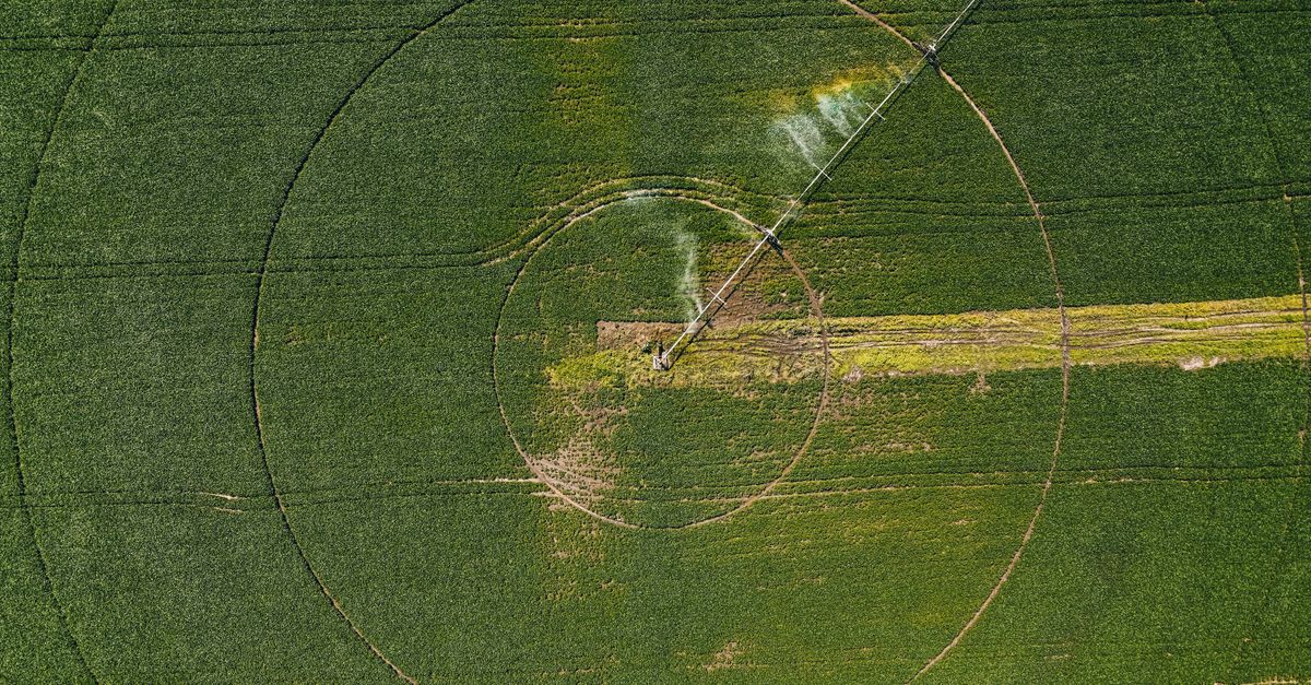 Precision Farming farming