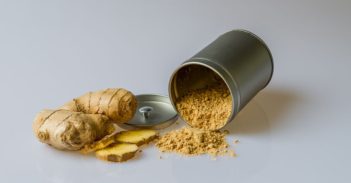 Premium Organic Ginger farming