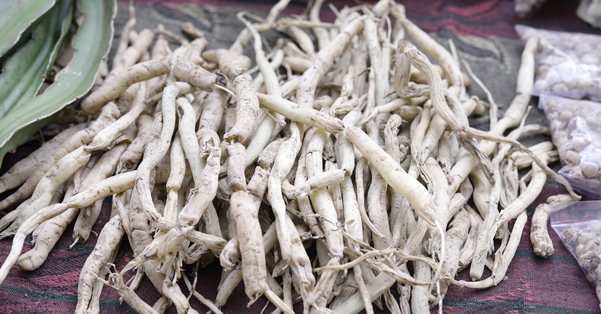Safed Musli farming