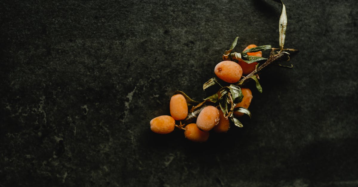 Seabuckthorn (Leh Berry) farming
