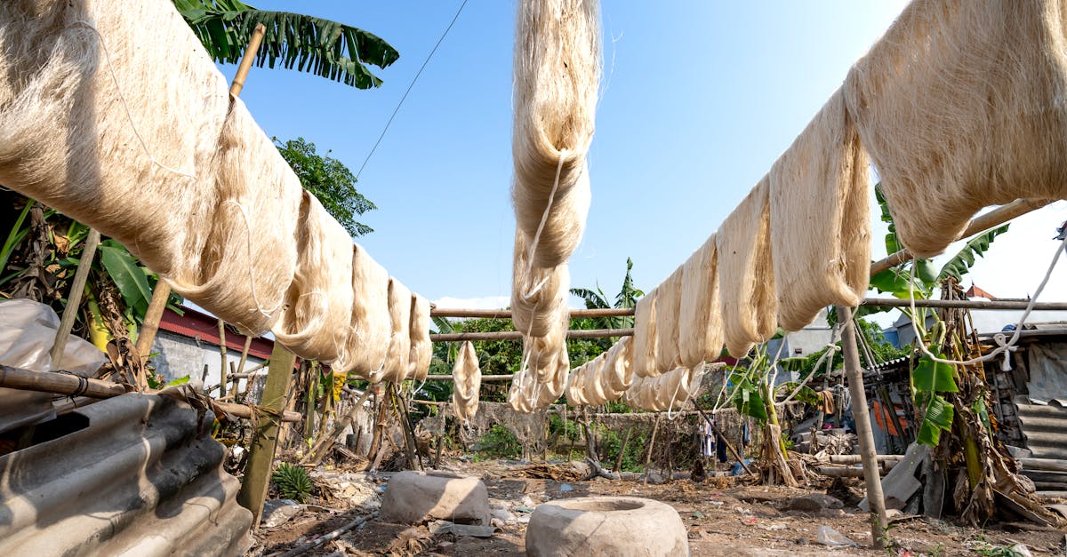 Tasar, Eri and Muga Silk (Vanya Sericulture) farming