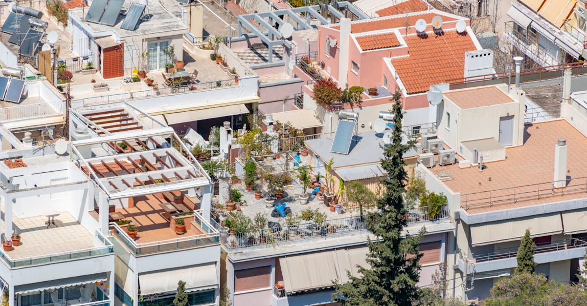 Terrace and Rooftop Farming farming