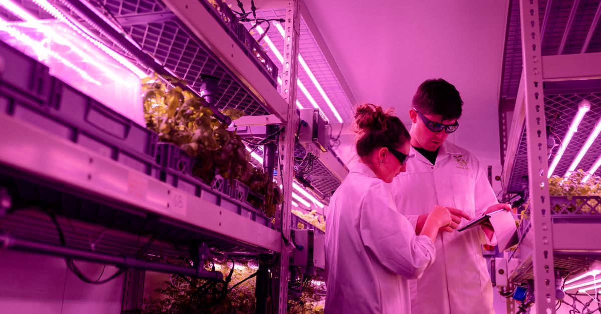 Vertical Farming farming