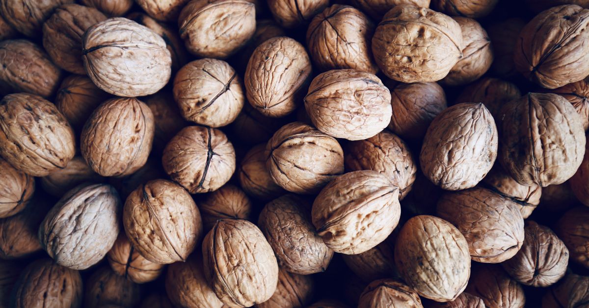 Walnut farming