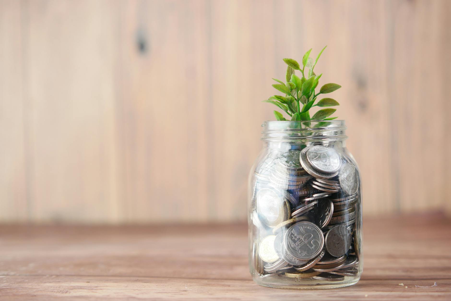 Jar of coins with a plant, symbolizing growth