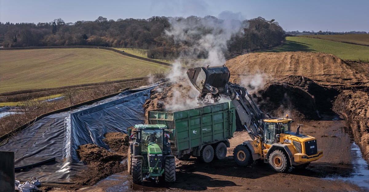 Well-decomposed farm compost, a common organic fertilizer