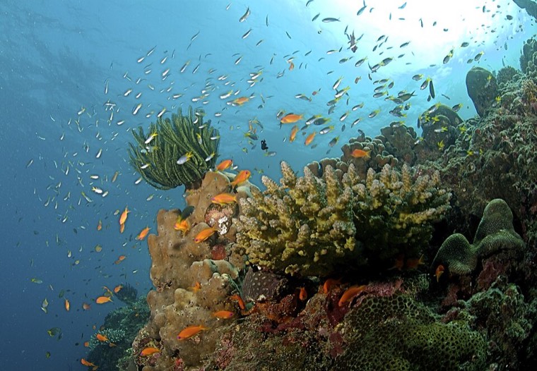 Andaman & Nicobar Islands (city)