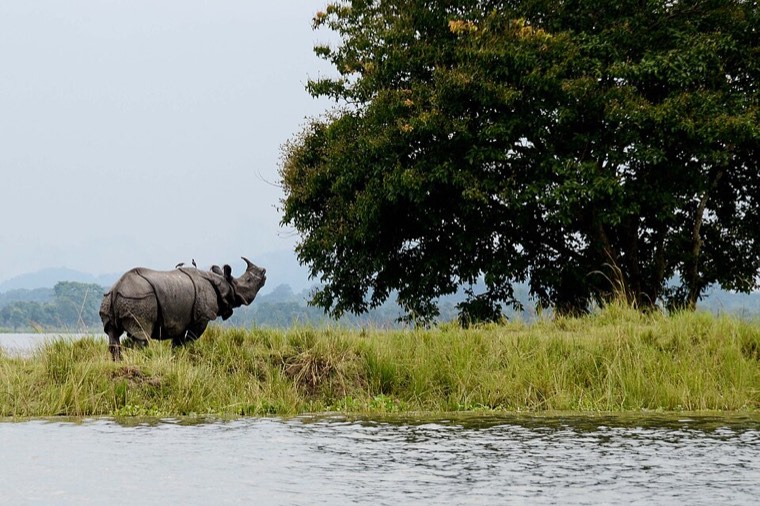 Assam (city)