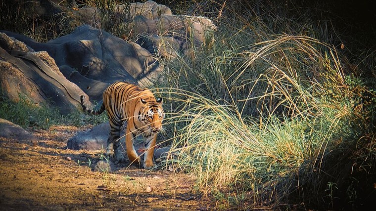Balaghat, Madhya Pradesh (city)